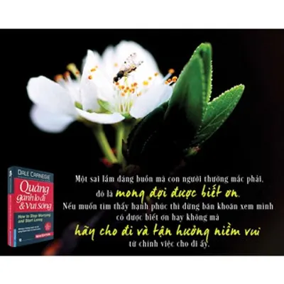 Quẳng Gánh Lo Đi Và Vui Sống — ảnh 6