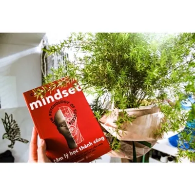 Mindset – Tâm Lý Học Thành Công — ảnh 5